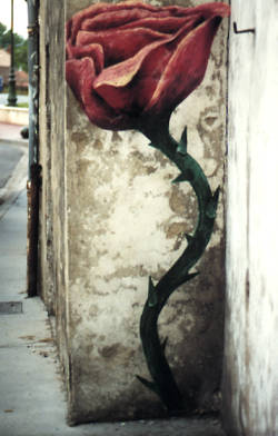 rose murale